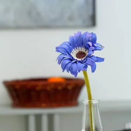 Apartment Vacation Boutique *